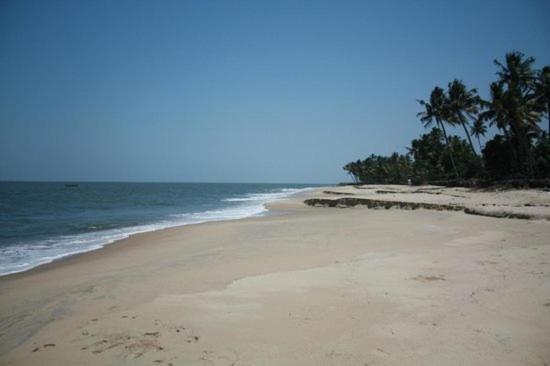 Fool'S Paradise Homestay Alappuzha Exteriör bild