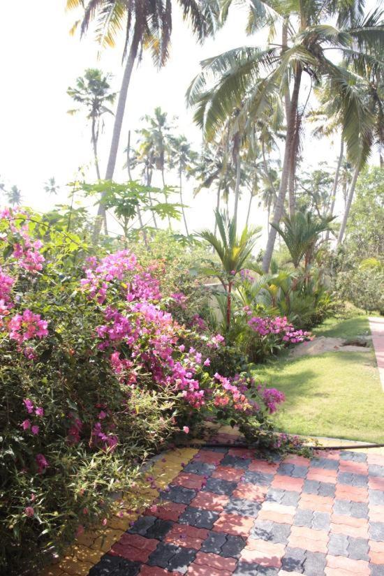 Fool'S Paradise Homestay Alappuzha Exteriör bild